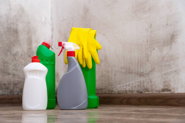 East Uniontown, PA Mold Inspection, Removal & Remediation Company